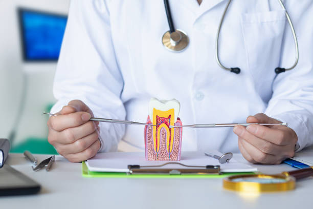 Best Weekend Emergency Dentist in Liberty, NC